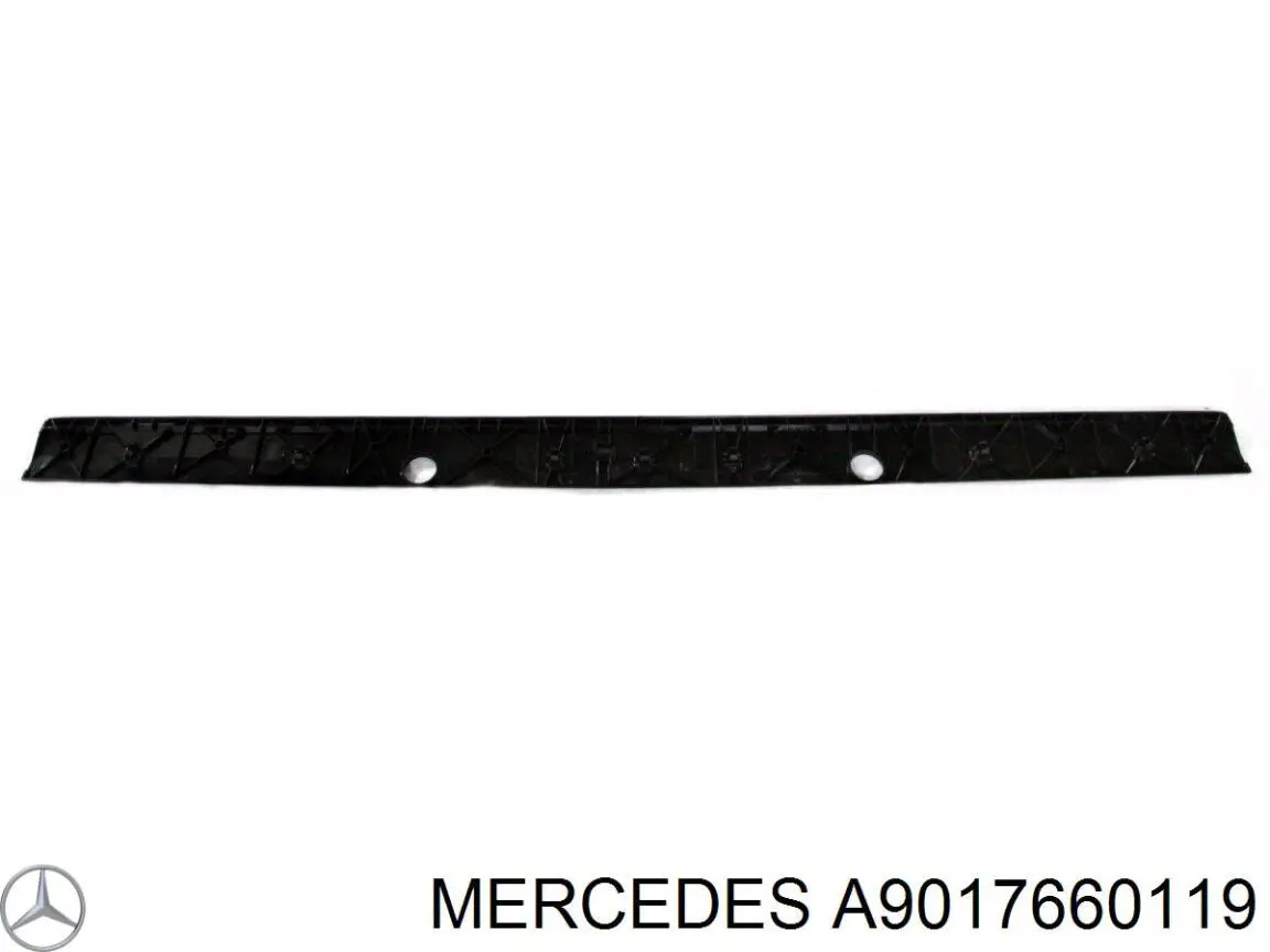 A9017660119 Mercedes Placa sobreposta inferior da porta traseira esquerda