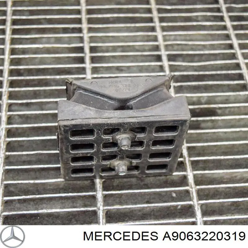A9063220319 Mercedes Grade de proteção da suspensão de lâminas dianteira