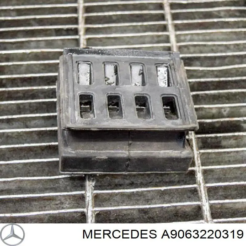 Compre A9063220319 Mercedes Grade de proteção da suspensão de lâminas dianteira