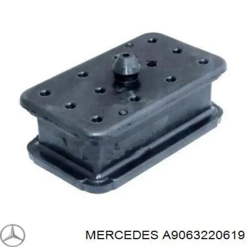 A9063220619 Mercedes Grade de proteção da suspensão de lâminas dianteira