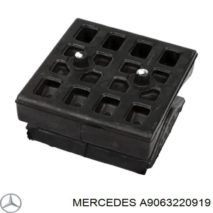 A9063220919 Mercedes Suporte da suspensão de lâminas dianteira