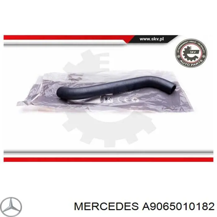 A9065010182 Mercedes Mangueira (cano derivado) do radiador de esfriamento superior