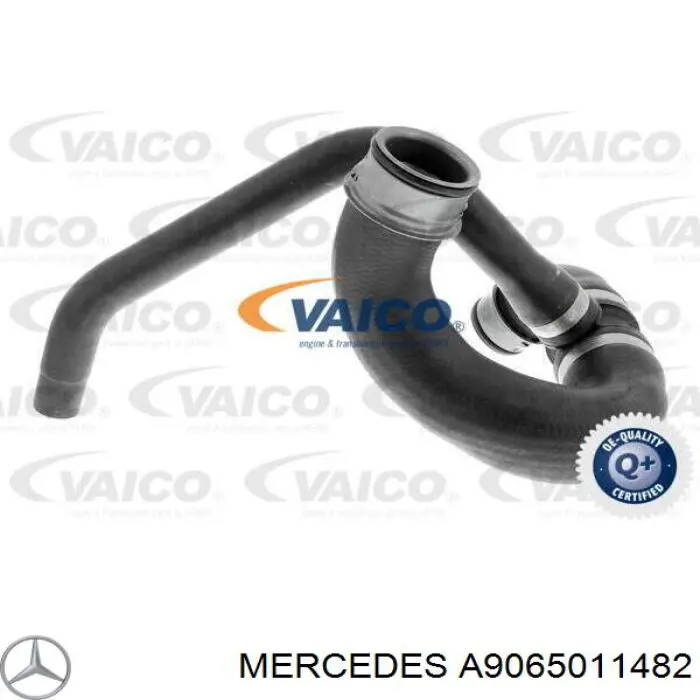 Compre A9065011482 Mercedes Mangueira (cano derivado) inferior do radiador de esfriamento