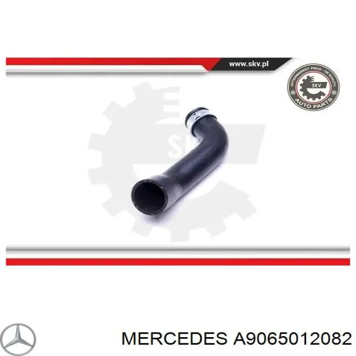 A9065012082 Mercedes Mangueira (cano derivado) inferior do radiador de esfriamento