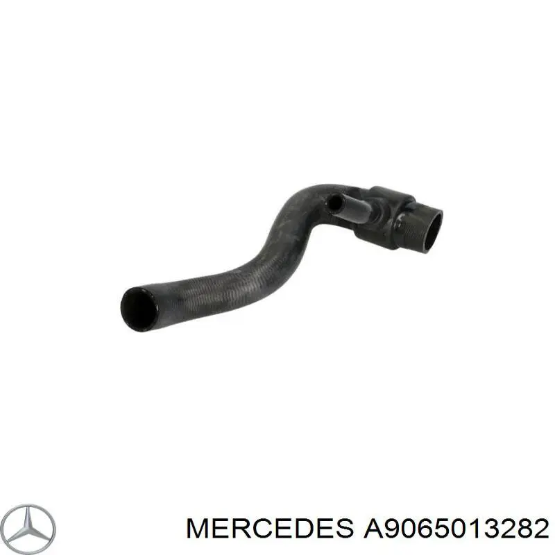 A9065013282 Mercedes Mangueira (cano derivado) inferior do radiador de esfriamento