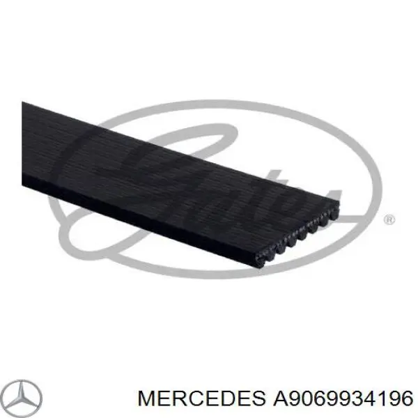 Correia dos conjuntos de transmissão A9069934196 Mercedes