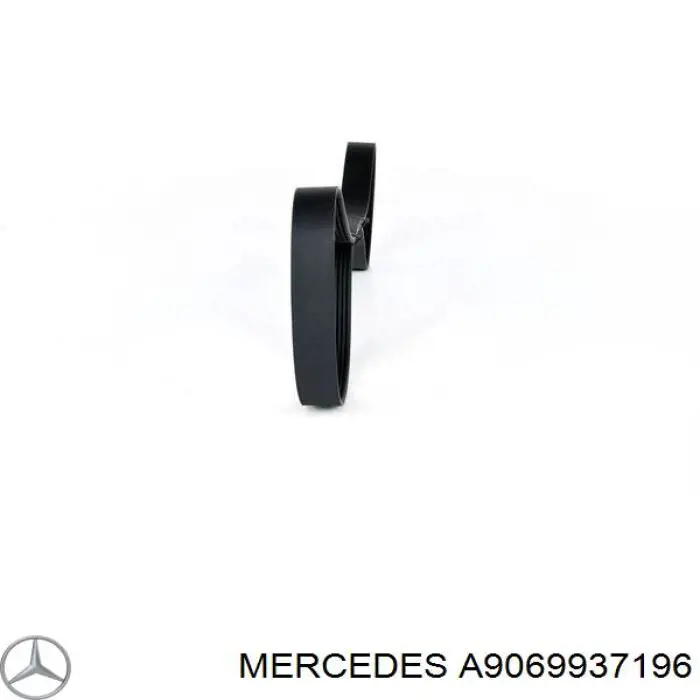 8PK1427 Continental/Siemens Correia dos conjuntos de transmissão