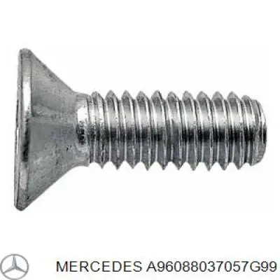 Grelha do radiador A96088037057G99 Mercedes