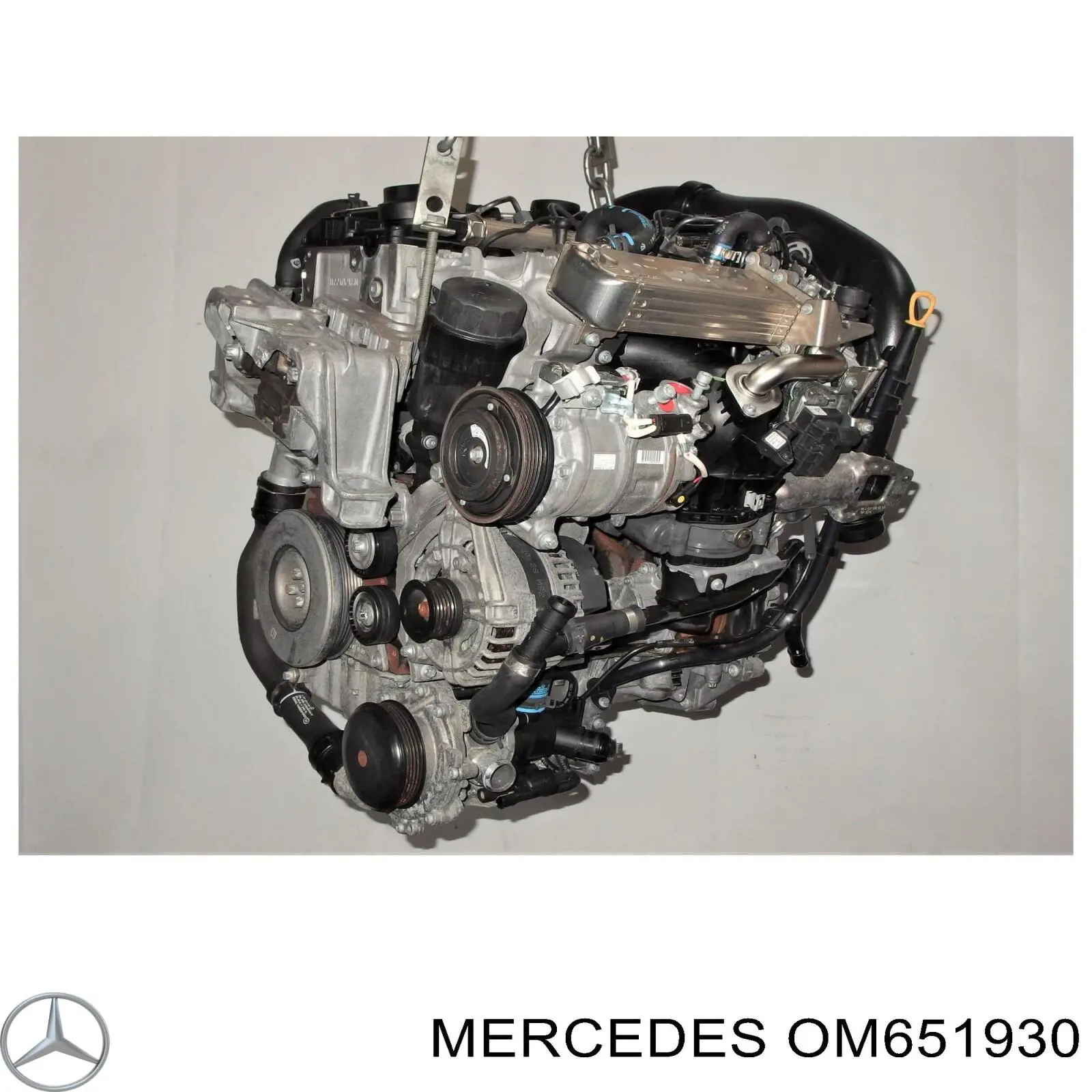 OM651930 Mercedes Motor montado