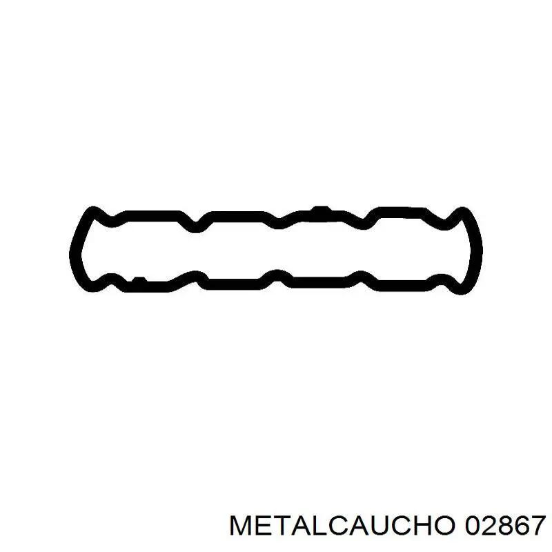 036241 Cautex Óleo hidráulico (fluido)