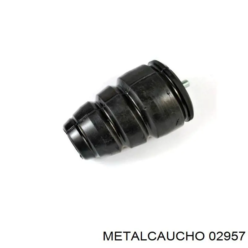 Compre 02957 Metalcaucho Grade de proteção da suspensão de lâminas traseira