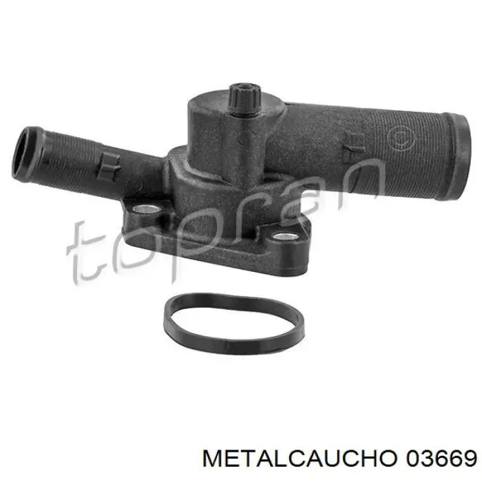Compre 03669 Metalcaucho Termostato