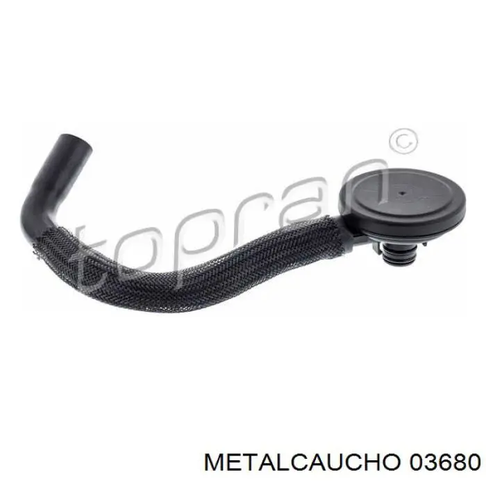 Compre FT61844 Fast Separador de óleo (separador) do sistema de ventilação de cárter