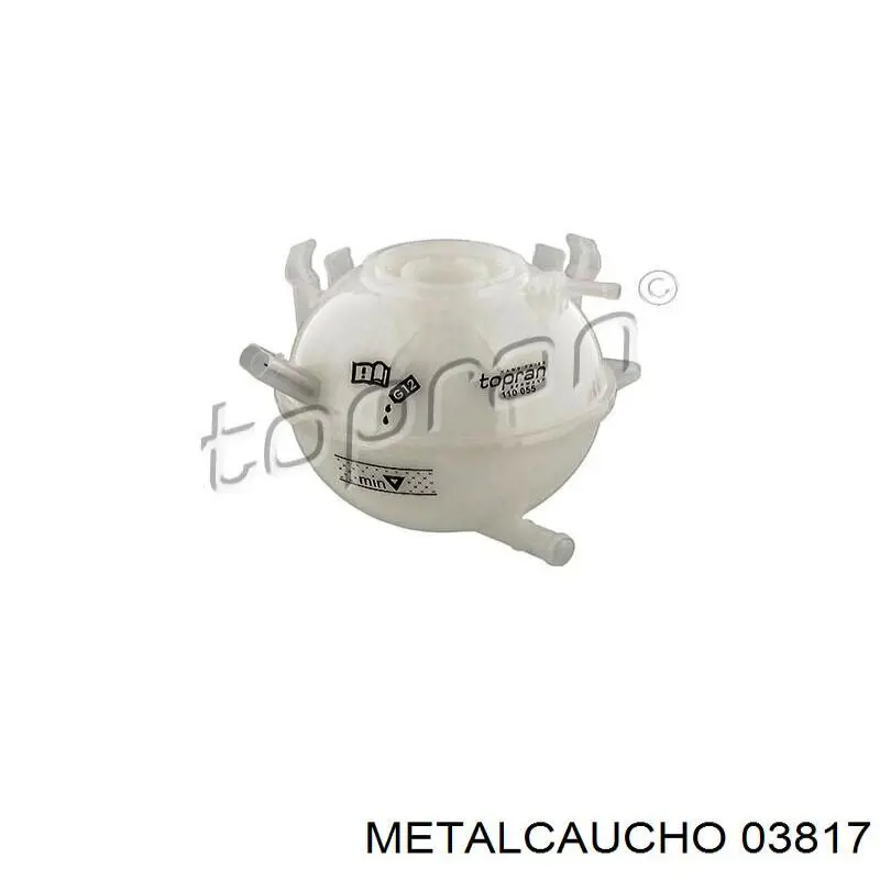 Tanque de expansão do sistema de esfriamento Metalcaucho 03817 preço, a partir de 16,28 USD