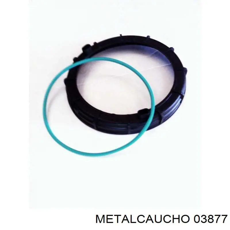Compre FPMCI153130 Goodway Tampa da bomba de combustível