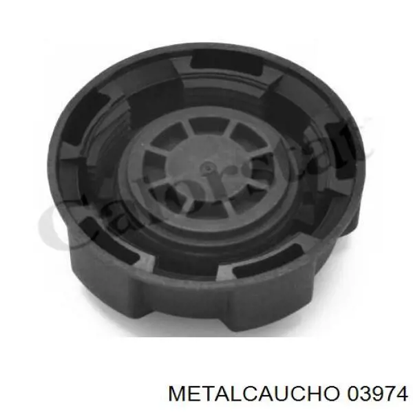 Tanque de expansão do sistema de esfriamento 3974 Metalcaucho