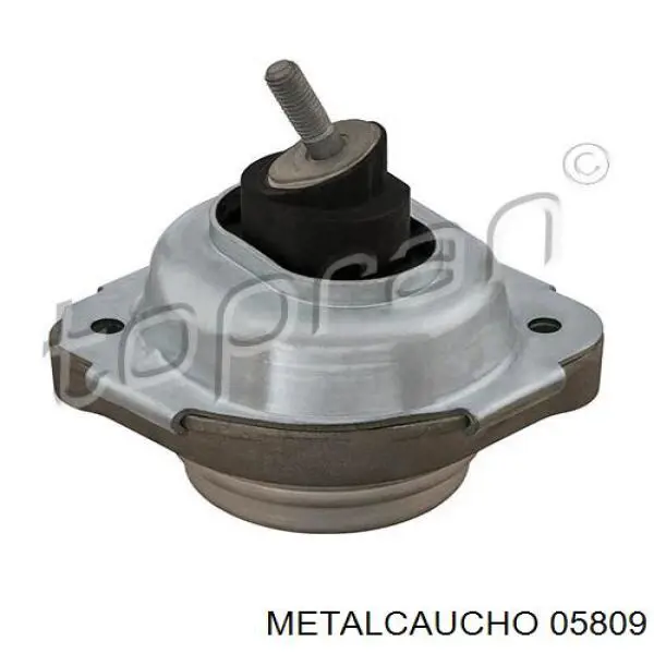Compre 05809 Metalcaucho Coxim (suporte) direito de motor