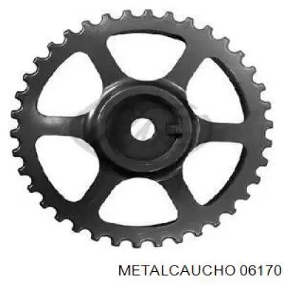 Engrenagem de cadeia da roda dentada da árvore distribuidora de motor Metalcaucho 06170 preço, a partir de 21,67 USD