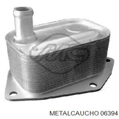 06394 Metalcaucho 