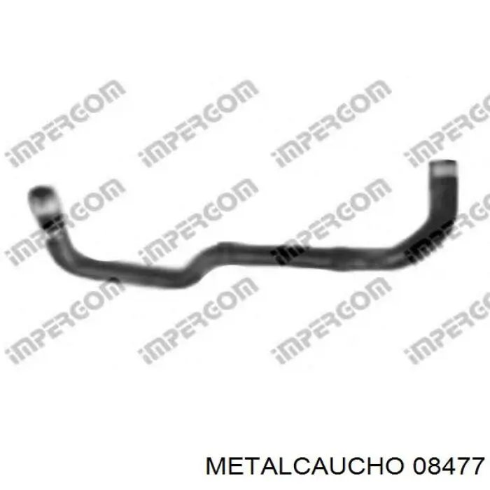 Compre 036351 Cautex Mangueira (cano derivado) inferior do radiador de esfriamento