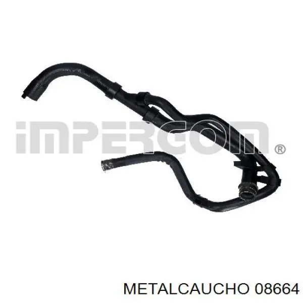 Compre 31428 Cautex Mangueira (cano derivado) inferior do radiador de esfriamento