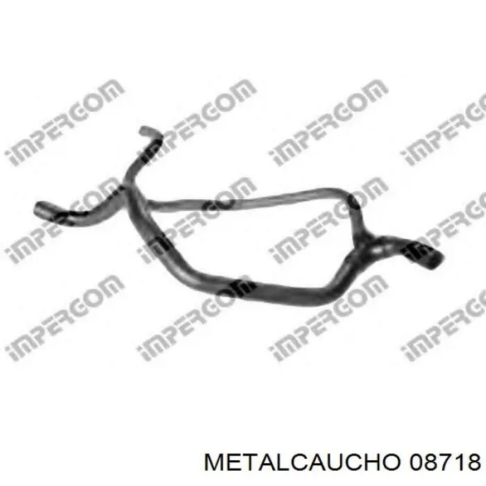 Compre 7700841899 Renault (RVI) Mangueira (cano derivado) inferior do radiador de esfriamento