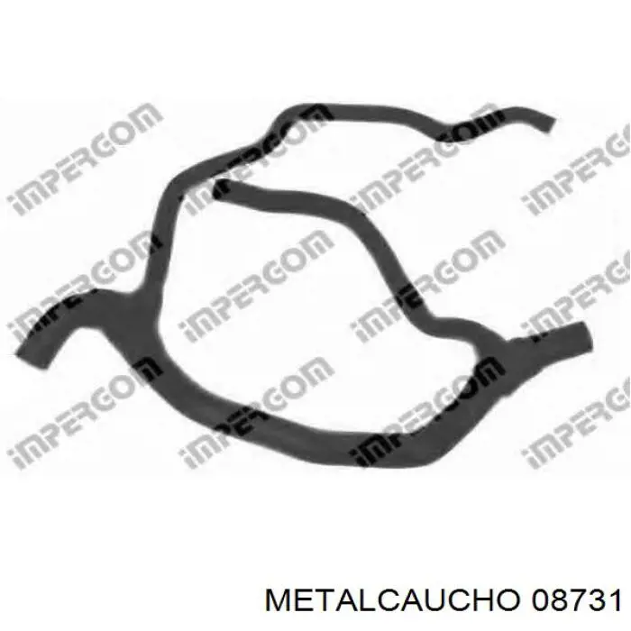 Compre 026522 Cautex Mangueira (cano derivado) inferior do radiador de esfriamento
