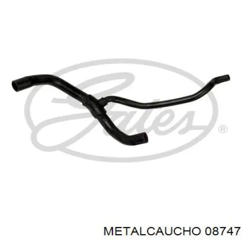 Compre 7700847055 Renault (RVI) Mangueira (cano derivado) inferior do radiador de esfriamento