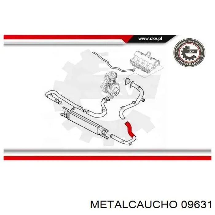 Mangueira (cano derivado) de intercooler 51832089 Fiat/Alfa/Lancia
