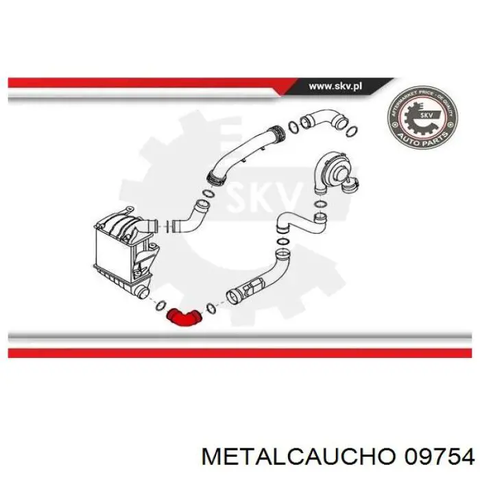 Compre 466855 Cautex Mangueira (cano derivado) de intercooler