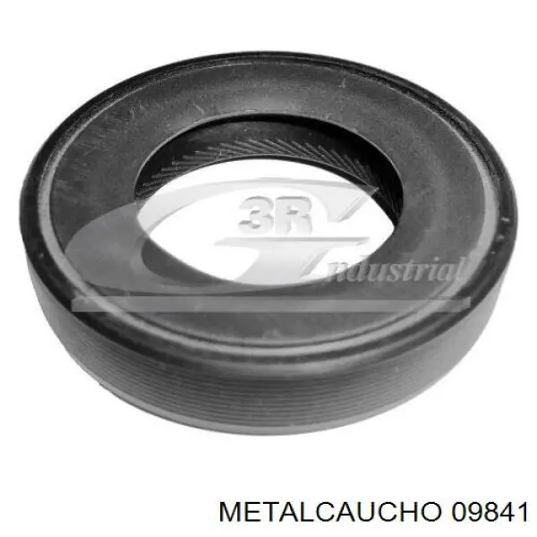 Compre 09841 Metalcaucho Mangueira (cano derivado) de intercooler