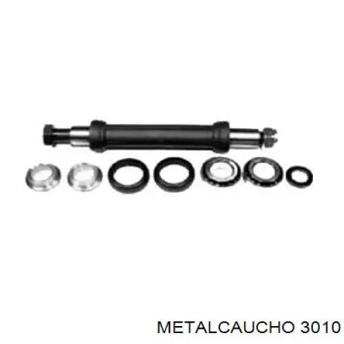 Compre 3010 Metalcaucho 