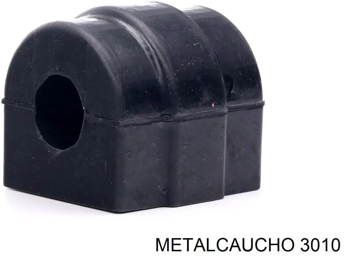 3010 Metalcaucho 