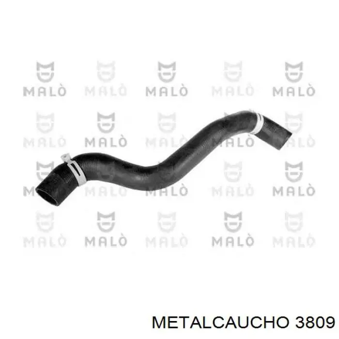 Tanque de expansão do sistema de esfriamento 3809 Metalcaucho