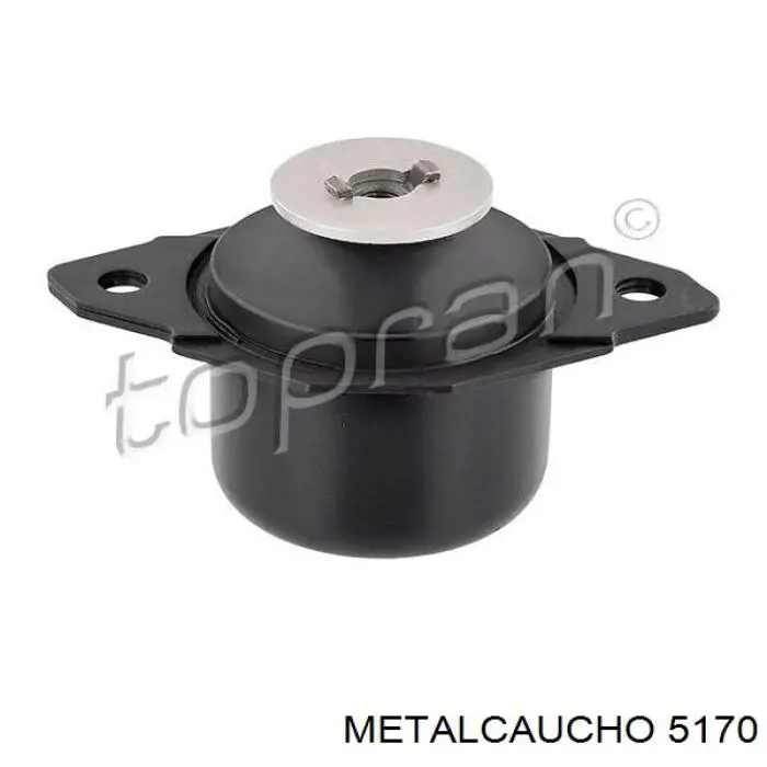 Sonda (indicador) do nível de óleo no motor Metalcaucho 5170 preço, a partir de 12,97 USD