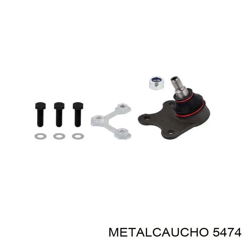Engrenagem de cadeia da roda dentada da árvore distribuidora de motor 5474 Metalcaucho