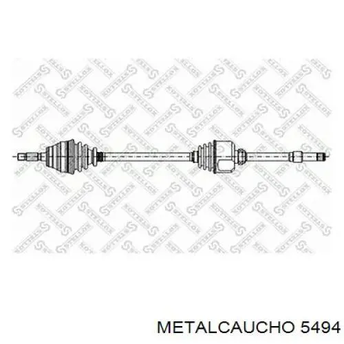 5494 Metalcaucho 