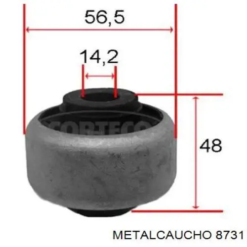 Compre 026522 Cautex Mangueira (cano derivado) inferior do radiador de esfriamento