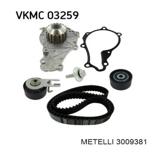 Compre 3009381 Metelli Correia do mecanismo de distribuição de gás, kit