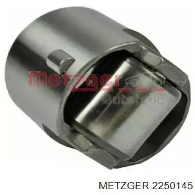 Compre 11327542075 BMW Empurrador da bomba de combustível