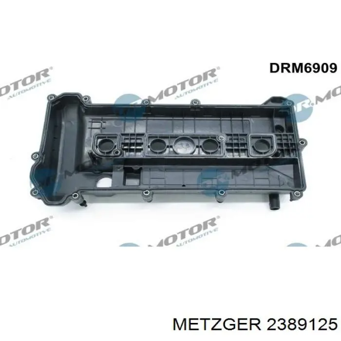 1557512 Ford Tampa de válvulas