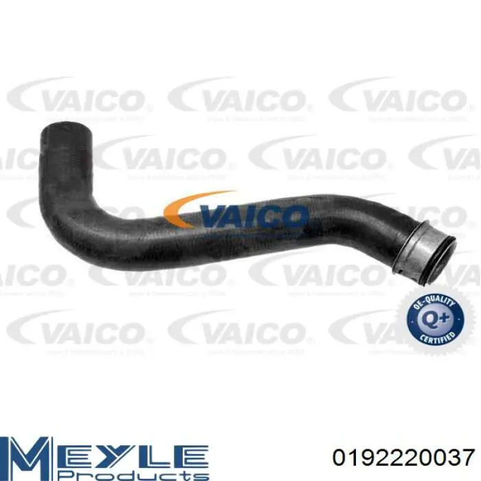 Mangueira (cano derivado) do radiador de esfriamento superior Meyle 0192220037 preço, a partir de 25,85 USD