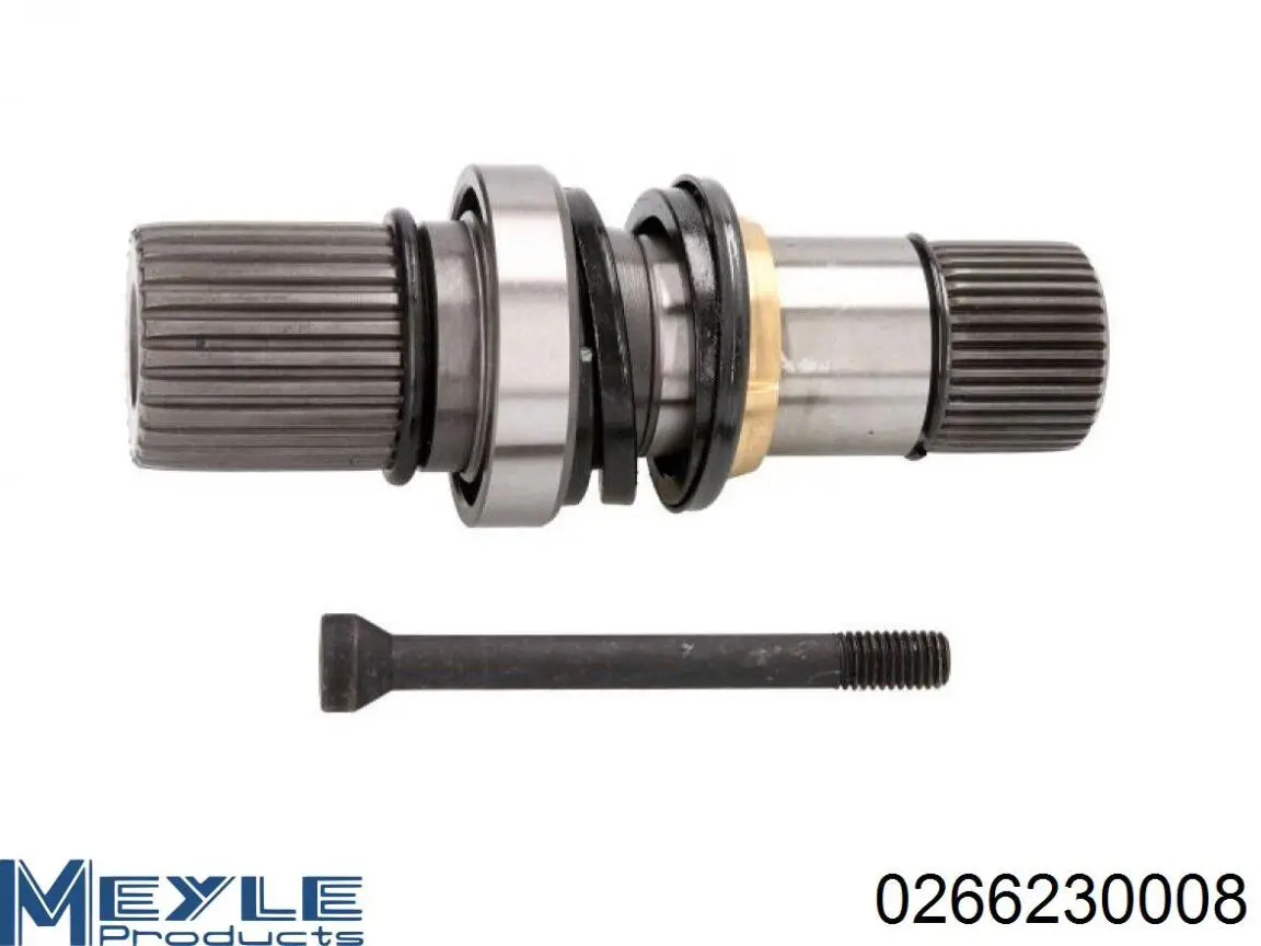 Amortecedor dianteiro RS115905 Raiso