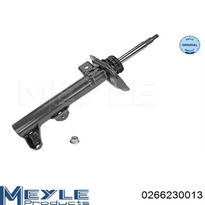 RS317556 Raiso Amortecedor dianteiro