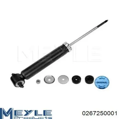 Amortecedor traseiro RS316942 Raiso