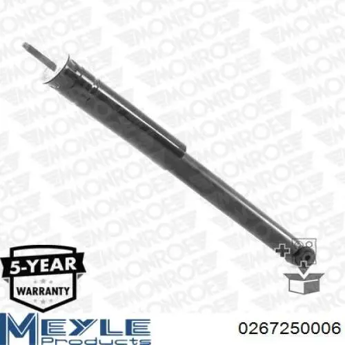 Compre RS317257 Raiso Amortecedor traseiro