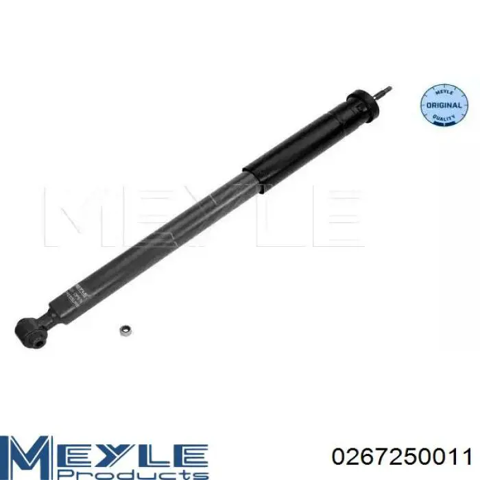 RS317384 Raiso Amortecedor traseiro