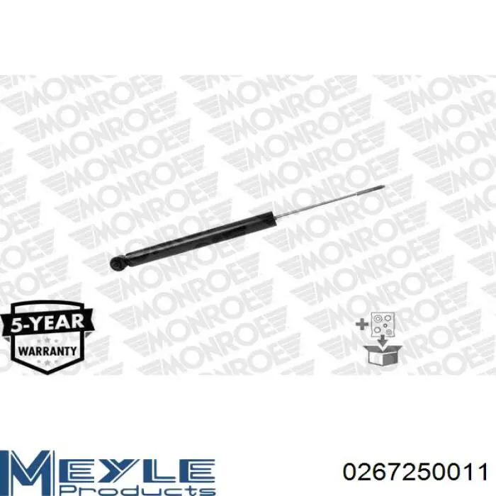 Amortecedor traseiro Raiso RS317384 preço, a partir de 35,52 USD