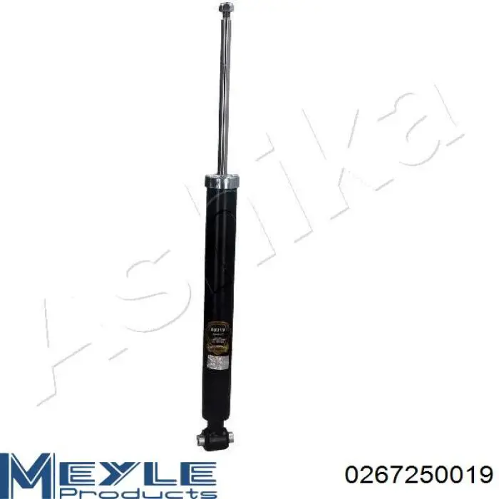 Compre RS317266 Raiso Amortecedor traseiro