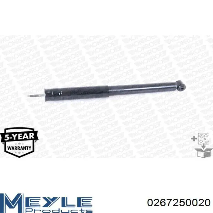 Compre RS317337 Raiso Amortecedor traseiro